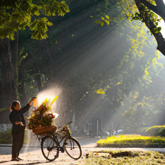 Em ơi Hà Nội Phố -Phú Quang- Dung aucosdtic