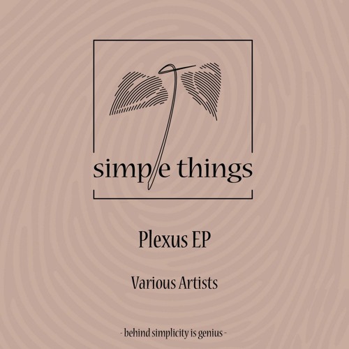 PREMIERE: Adam Antine - Taking Us Appart [Simple Things]