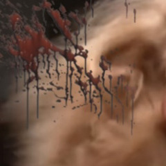 rockout - american saint + uv0