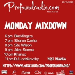 #62 Profound Radio  Melodic House & Techno @djstuwilson