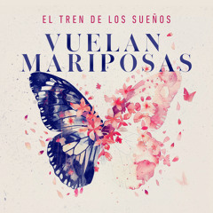 Vuelan mariposas