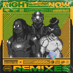 Right Now (Drumsound & Bassline Smith Remix) [feat. Nature Ellis]