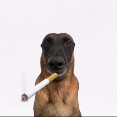 NBA (prod. 2lzx v3du)