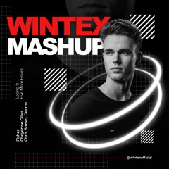 Chris Brown x Fisher x Cheyenne Giles - Five More Hours x Losing it Flip (Wintex Mashup)