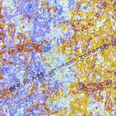 彩を紡ぐ詩 -system reverse-