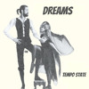 Download Video: FLEETWOOD MAC DREAMS REMIX [ Free Download ]