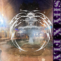 Shy x Fly