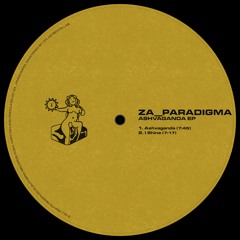 Za__Paradigma - I Shine (snippet)