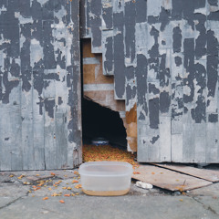 Hardtack