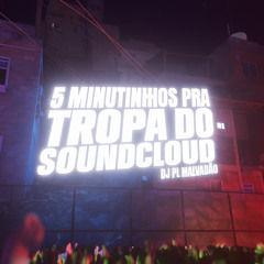 5 MINUTINHOS PRA TROPA DO SOUNDCLOUD BRABAAA -  DJ PL MALVADÃO