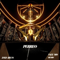 Valy Mo & HEMIS - Perreo (Radio Edit) [DND RECS]