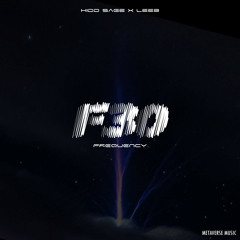 Hidd Sage, LEEB - Frequency 30