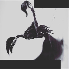 Contrust - Fragments of the past