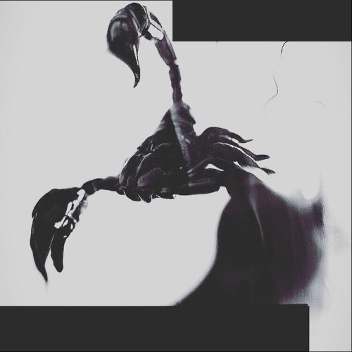 Contrust - Fragments of the past