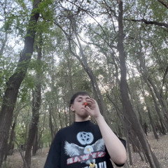 voy de 0 a 1000 (freestyle)