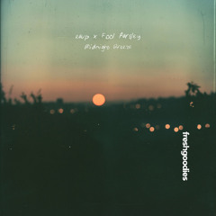 eaup & Fool Parlsey - Midnight Breeze
