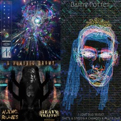 I Love Dub Music! (She's a Steppa x Changes x Flute Dub)[Barry Potter Edit]