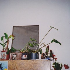 WALL