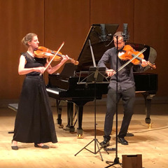 KNOX - Viola Spaces (Beside the Bridge-Up, down, sideways, round) Viola Wasser & G. Martin Rodriguez