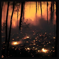 silent flame