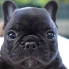 Ruben Sim Soundtrack