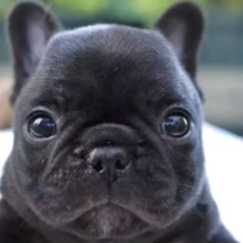 Ruben Sim Soundtrack