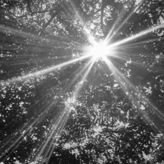 잘 자, 좋은 꿈 꿔