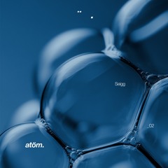 Seigg - atöm.02