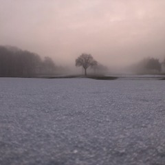 Please Don’t Turn The Light Off (demo)