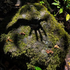 Trampling on Flowerbeds w/ Dj Sport (18/02/25)