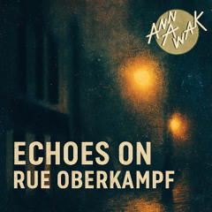 Echoes on Rue Oberkampf