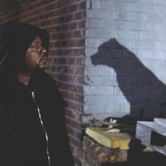 Ronin