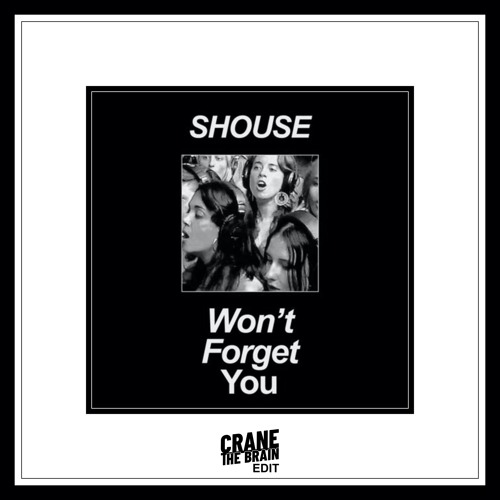 Shouse - Won´t Forget You (crane the brain Edit)