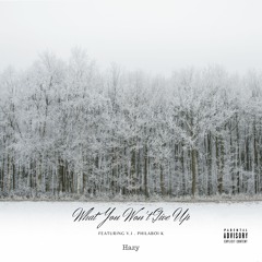 What You Won't Give Up (feat. V.I & PhilaBoi K)