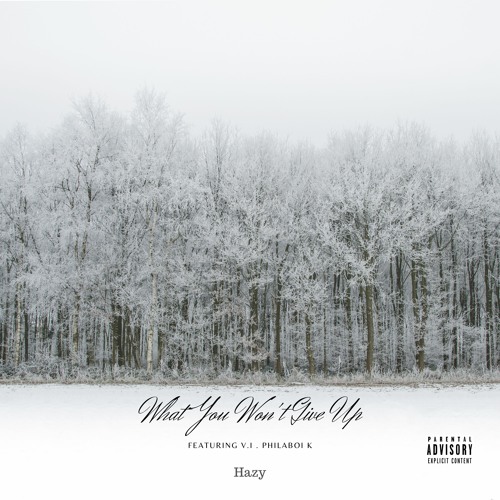 What You Won't Give Up (feat. V.I & PhilaBoi K)