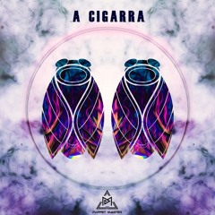 A Cigarra - Elza Sores feat. Letícia Sabatella (Tribute Mix)- Freedownload (comprar/buy)