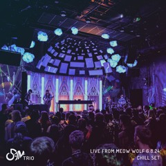Live From Meow Wolf - Chill Set