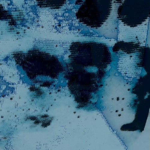 2.2 Hz Wave Of H.O.P.E.