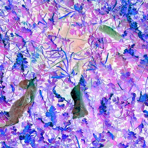 Part Of Me (feat. piq)