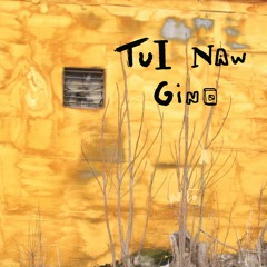 Tui Naw