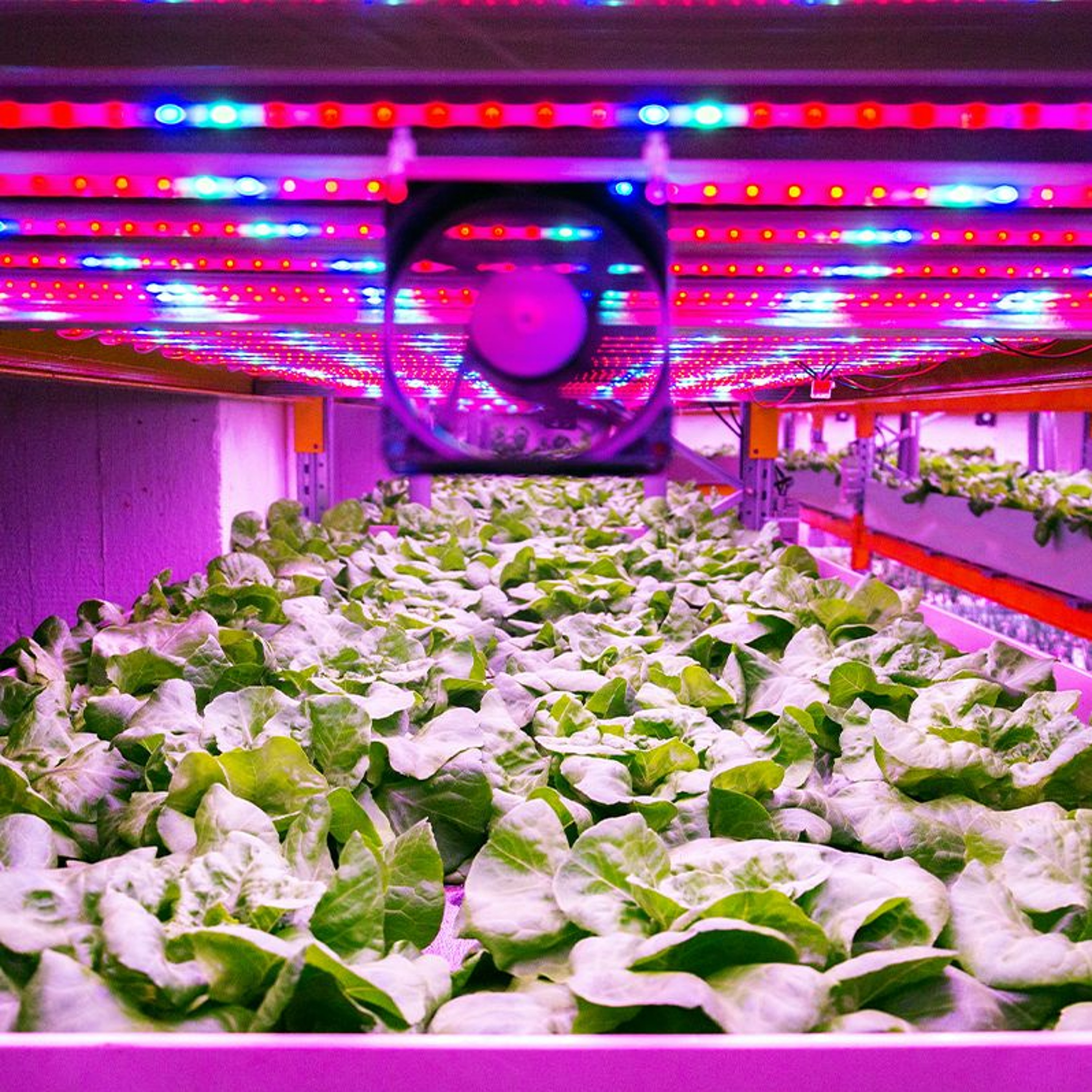 GreenTech podcast