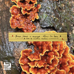 Please Leave a Message After the Tone – 8 Feb 2025