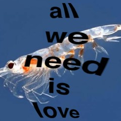 allweneedislove(smalllove) prod.junwu