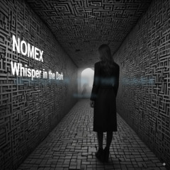 Whisper in the Dark   ( Original Mix)