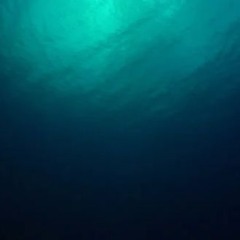Siren Song