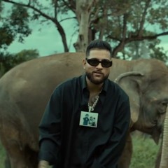 48 Rhymes
