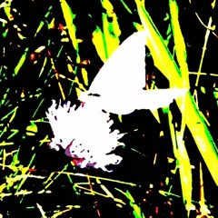 Deep In Calm - Servus ...FREE DOWNLOAD...