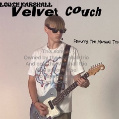 Velvet Couch
