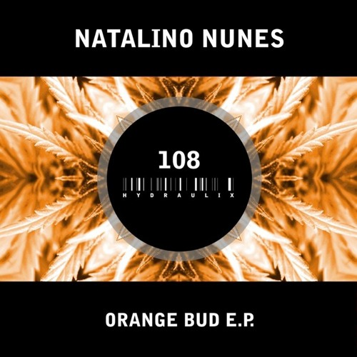 Natalino Nunes- Orange Bud (Original Mix)
