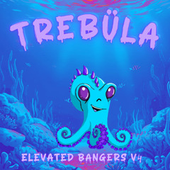 Elevated Bangers v4 (Throwin' Elbows x Around the World x Flute Dub x Rockin' x Strangers - Excision x Spacelaces x Subtronics x Jessica Audiffred x Tynan x ALLEYCVT) LIVE MIX